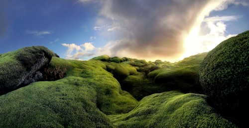 Mossy Rocks Jigsaw Puzzle