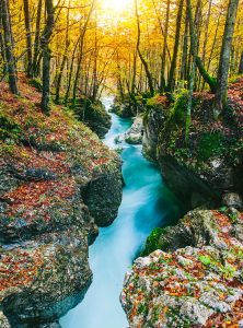 Mostnica Gorge Jigsaw Puzzle