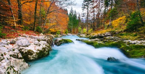 Mostnica River Jigsaw Puzzle
