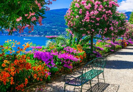 Mother Island Garden Jigsaw Puzzle