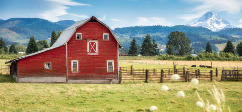 Mount Hood Barn Jigsaw Puzzle