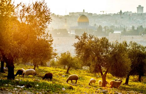 Mount of Olives Jigsaw Puzzle