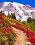 Mount Rainier Hike Jigsaw Puzzle