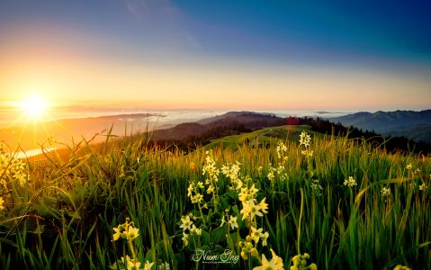 Mount Tamalpais Jigsaw Puzzle