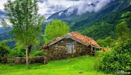 Mountain Cabin