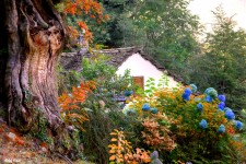 Mountain Hut