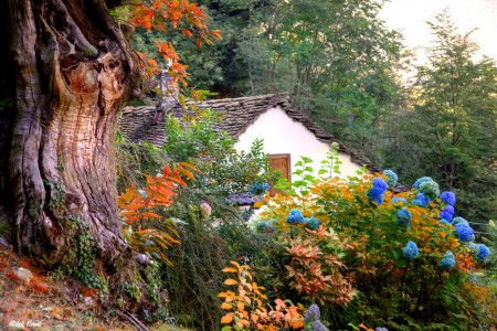 Mountain Hut Jigsaw Puzzle