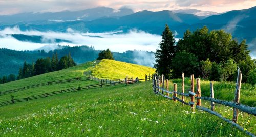 Mountain Meadows Jigsaw Puzzle