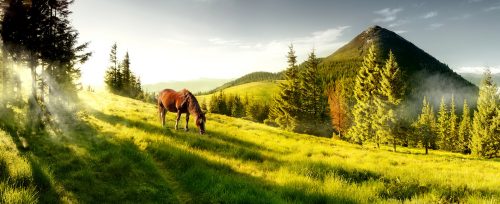 Mountain Pasture Jigsaw Puzzle