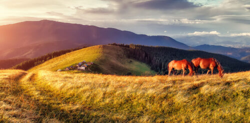 Mountain Ridge Horses Jigsaw Puzzle