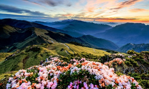 Mountain Vista Jigsaw Puzzle