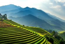 Mu Cang Chai