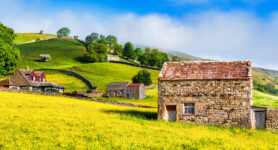 Muker Meadows Jigsaw Puzzle