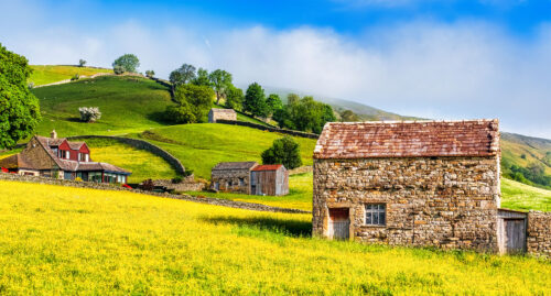 Muker Meadows Jigsaw Puzzle Muker Meadows Jigsaw Puzzle