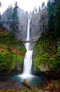 Multnomah Falls Jigsaw Puzzle