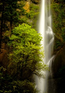 Multnomah Falls Jigsaw Puzzle