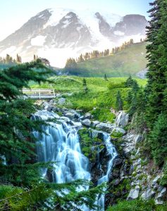 Myrtle Falls Jigsaw Puzzle