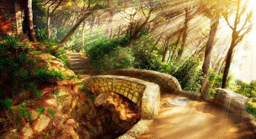 Mystic Trail Jigsaw Puzzle