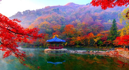 Naejangsan Park Jigsaw Puzzle