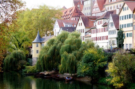 Neckar River Jigsaw Puzzle