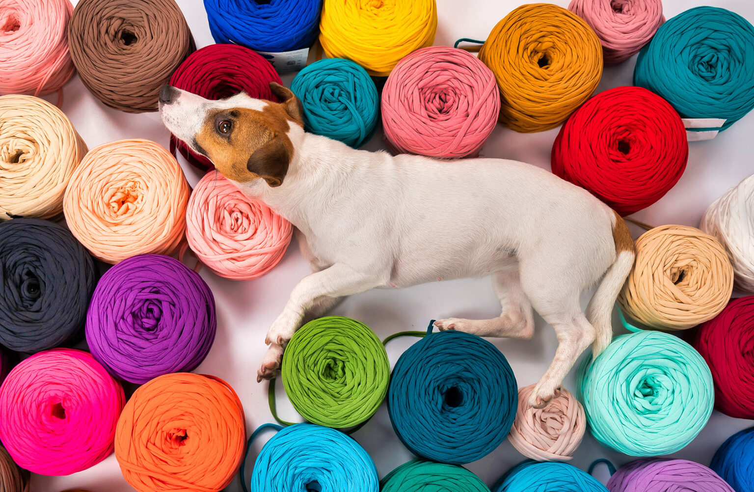 Editor’s Pick Page 14