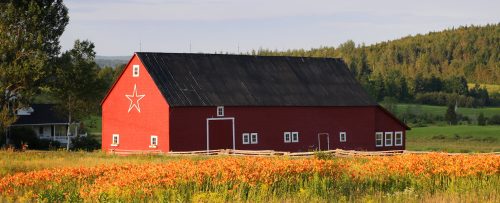 New Brunswick Barn Jigsaw Puzzle