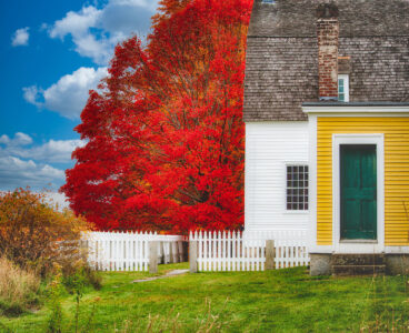 New England Charm Jigsaw Puzzle