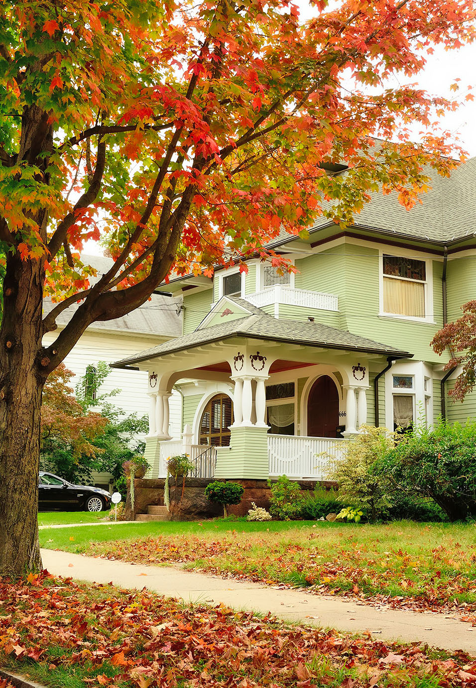 haven house