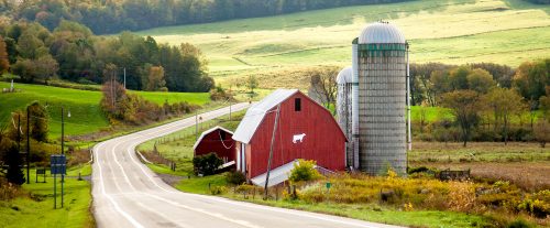 New York Farm Jigsaw Puzzle