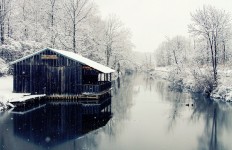 New York Snow