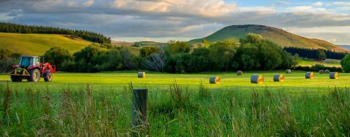 New Zealand Hay Jigsaw Puzzle