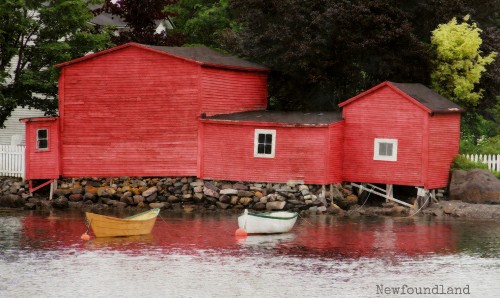 Newfoundland Red Jigsaw Puzzle