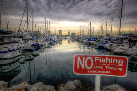 No Fishing Jigsaw Puzzle