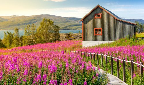 Nordic Cottage Jigsaw Puzzle