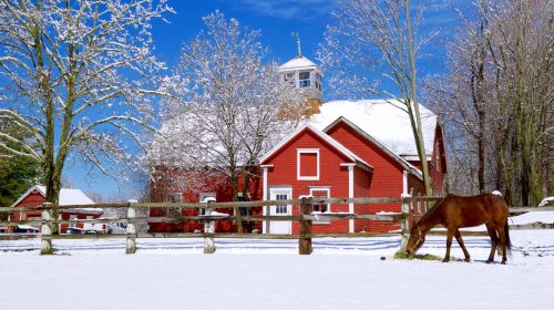 Norfolk Snow Jigsaw Puzzle