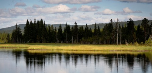 Norse Lake Jigsaw Puzzle