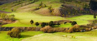 North Island Vista