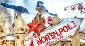 North Pole This Way
