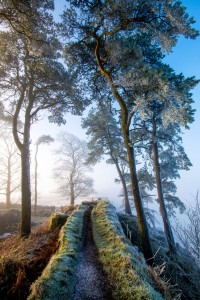 Northumberland Trail Jigsaw Puzzle