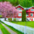 Norway Village House Jigsaw Puzzle