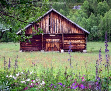 Norwegian Barn Jigsaw Puzzle