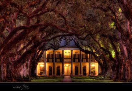 Oak Alley Plantation Jigsaw Puzzle