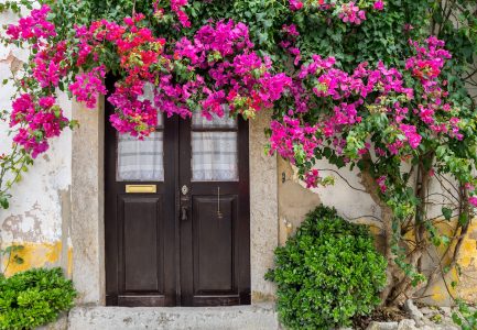 Óbidos Doors Jigsaw Puzzle