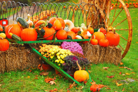 October Display Jigsaw Puzzle