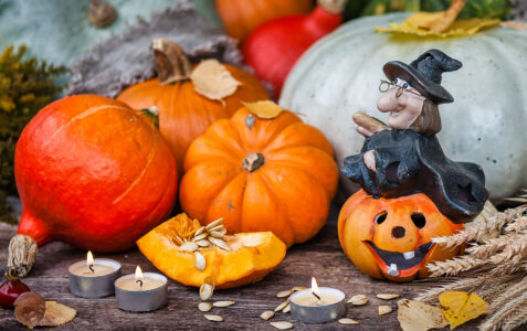 October Pumpkins Jigsaw Puzzle