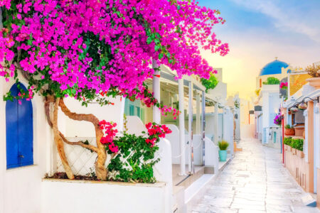 Oia Morning Jigsaw Puzzle