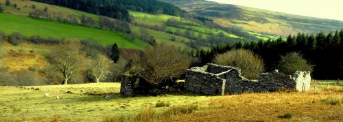 Old Cottage Jigsaw Puzzle