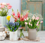 Old Door and Flowers