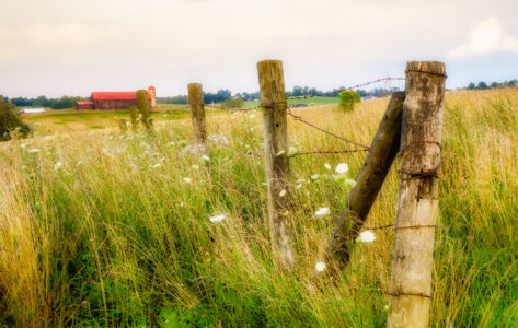 Old Fence Line Jigsaw Puzzle