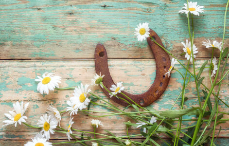 Old Horseshoe Jigsaw Puzzle